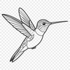 Colorful Bird Vector Art Illustration of a hummingbird in vector format, suitable for digital design and cutting machine projects.