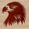 Wild Animal Illustration Free A detailed illustration of an eagle's head with sharp facial features and vibrant feathers.