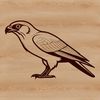 A detailed vector illustration of a falcon in flight, suitable for various designs and applications.