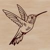 A colorful hummingbird in mid-flight, wings spread wide.