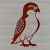 Vector Bird Illustration - Falcon Design A vector illustration of a sharp-eyed falcon in flight.