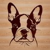 Cute Canine Portrait A portrait illustration of a Boston Terrier's head.