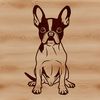 Free vector pet clip art design A detailed vector illustration of a sitting Boston Terrier dog in a digital format.