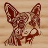 Adorable Animal Head Design An ornate illustration of a Boston Terrier's head, suitable for vector art designs and personal or commercial projects.
