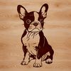 Boston Terrier Vector Clip Art A sitting Boston Terrier dog breed, suitable as clip art or vector design.