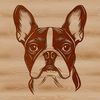Boston Terrier Vector Illustration A Boston Terrier's head, depicted in vector form.