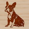 Boston Terrier SVG Graphic Design An SVG file containing a graphic design of a Boston Terrier in a seated position.