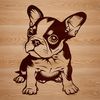 Stylized Sitting Boston Terrier A stylized illustration of a sitting dog breed with short coat and distinctive markings.