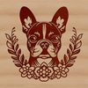 Unique Boston Terrier Breed Icon A regal Boston Terrier breed with a distinctive head shape, suitable for various designs.