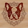 Detailed Dog Face Illustration A portrait of a Boston Terrier's head with intricate details.