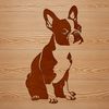 Cartoon Boston Terrier Illustration A cartoon-style illustration of a sitting Boston Terrier breed dog.