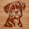 Boxer Breed Illustration A detailed illustration of a Boxer's head.