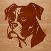 Royal Canine Companion A regal-looking dog breed with distinctive facial features.