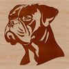 Beautiful Boxer Face Design A high-quality vector design of a Boxer breed dog's face for printing or digital use.