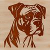 Male Boxer Dog Portrait in Detailed Illustration A detailed illustration of a male Boxer dog's head with a distinctive face structure and facial features.