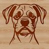 Boxer Dog Illustration A detailed illustration of a Boxer dog's head, suitable for vector art and digital design.