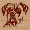 Vector Head of a Boxer Breed Dog A high-quality vector illustration of a Boxer dog's head, suitable for use in various designs and projects.