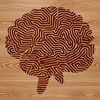 Complex Human Body Design Detailed illustration of the human brain, highlighting its complex anatomy and structure.