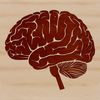 Human Brain Vector Design A 3D anatomical illustration of the human brain, suitable for vector design and cutting machine projects.