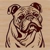 Wrinkled Bulldog Head Illustration A close-up of a bulldog's head with wrinkles and folds, suitable for vector design and clip art.