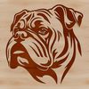 Regal Bulldog Portrait A regal Bulldog's head, vector illustration.