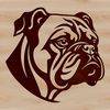 Friendly Bulldog Face A vector illustration of a bulldog's head with wrinkled skin and a distinctive underbite.