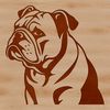 Stylized Bulldog Illustration A stylized illustration of a Bulldog's head, created as vector art.