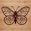 Beautiful SVG Vector Design Illustrative SVG vector design of a colorful butterfly against a plain background.