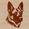 Regal Canine Companion A regal German shepherd breed dog with a distinctive head shape and floppy ears.