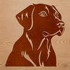 Labrador Breed Profile Vector A Labrador Retriever's head in vector format, suitable for digital art and design projects.