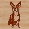 Friendly Boston Breed Icon A sitting Boston Terrier dog with a friendly expression.