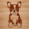 A sitting dog with a gentle expression.