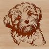 Free Vector Sitting Dog Image A vector illustration of a sitting Havanese dog breed.