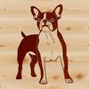 Boston Terrier Dog Breed Silhouette A standing Boston Terrier dog breed with a compact build and distinctive facial features.