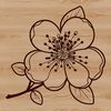 Whimsical Cherry Blossom Graphics Illustrated cherry blossom flower with delicate petals.