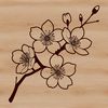 Beautiful cherry blossom flower vector design A vector illustration of a single blooming cherry blossom with five delicate petals.