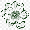Cherry Blossom Blooming in Full Color SVG A detailed vector illustration of a blooming cherry blossom in full color.