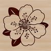 Stylized Cherry Flower Design A stylized illustration of a cherry blossom in full bloom, featuring delicate pink petals and green stem.