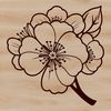 Simple Cherry Blossom Illustration A detailed illustration of a single cherry blossom in full bloom against a simple background.