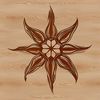 A simple, scalable star graphic designed using SVG technology.