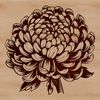 Elegant Flower Clip Art An ornamental Chrysanthemum design for use as clip art or digital graphics.