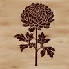 Colorful Chrysanthemum SVG Image A stylized illustration of a single Chrysanthemum flower in various colors, suitable for vector art design.