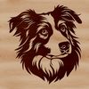 Beautiful Dog Breed Portrait A high-quality vector illustration of a head-on view of an Australian Shepherd dog breed.