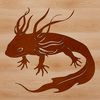 Salamander with Feathery Gills Graphic An illustration of a salamander with feathery gills and a regenerating limb.