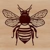 Illustrated bee with intricate details suitable for vector designs in Illustrator or Procreate.