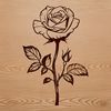A high-quality digital illustration of a single rose flower with detailed petals and realistic details.