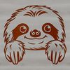 A sloth's head peeking out from behind a leafy branch.