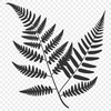 Green Leaf Vector Design A single green leaf with curved veins, suitable for vector designs.