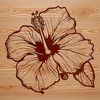 A colorful illustration of a hibiscus flower with layered petals, suitable for vector design and commercial use.