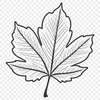 Decorative Leaf Illustration A detailed illustration of a single leaf with veins, suitable for digital design and cutting applications.